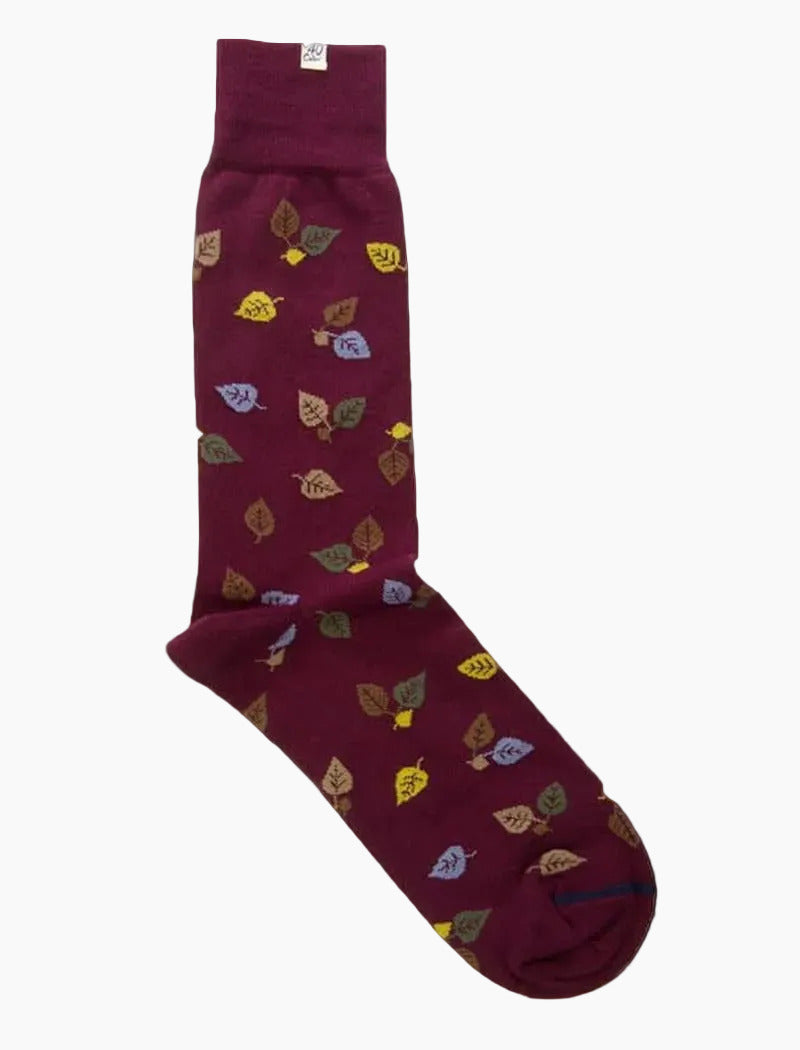 Burgundy Birch Organic Cotton Socks | 40 Colori