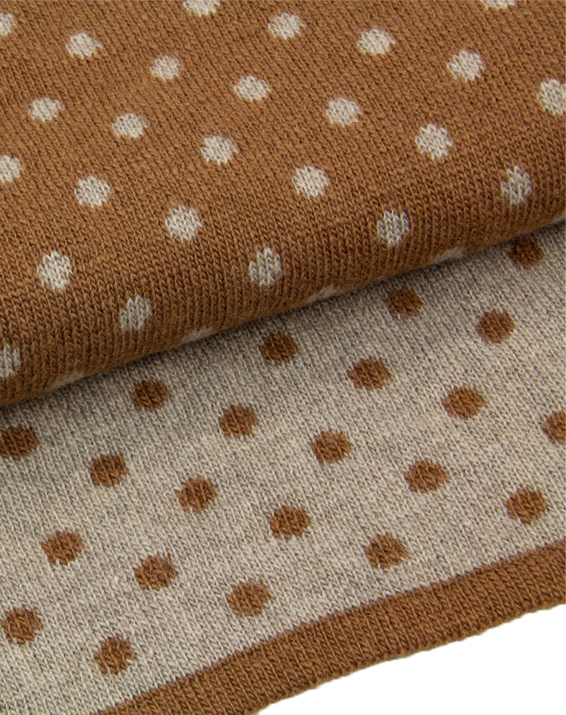 Beige & Taupe Reversible Dotted Knitted Wool & Cashmere Scarf