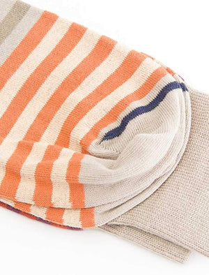 Brown Gradient Striped Organic Cotton Socks | 40 Colori