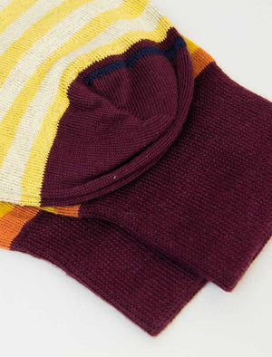 Red Gradient Striped Organic Cotton Socks | 40 Colori