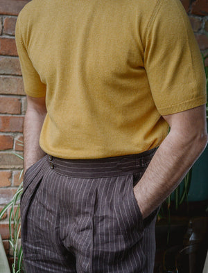 Brown Striped Cotton & Linen Double Pleated Trousers | 40 Colori